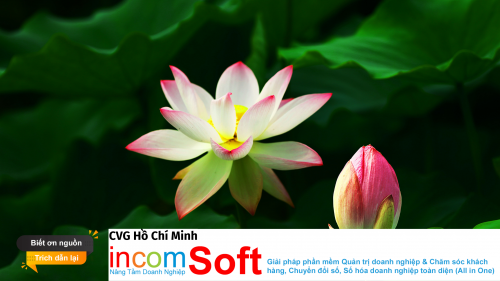 Bạn Có Đang Làm Người Khác Đau Khổ