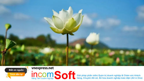 Bốn quy luật thành công của người giàu